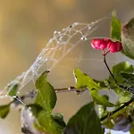 Sonnwend National Park Rossleithen