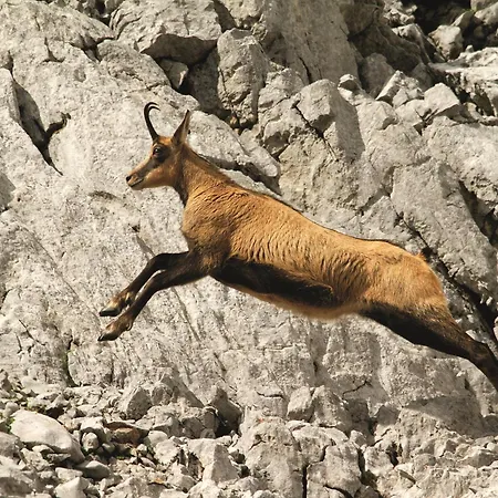 Alojamento de Turismo Selvagem Sonnwend National Park *