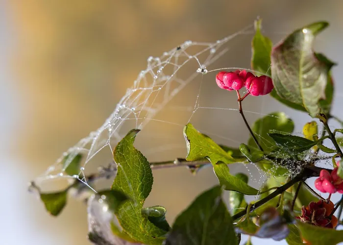 Sonnwend National Park Рослайтен