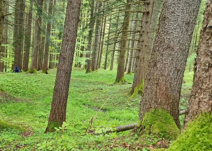 Sonnwend National Park * Рослайтен