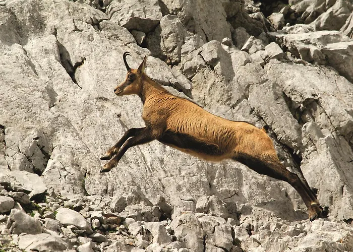 Alojamento de Turismo Selvagem Sonnwend National Park *