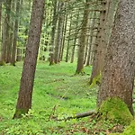 Sonnwend National Park * Rossleithen